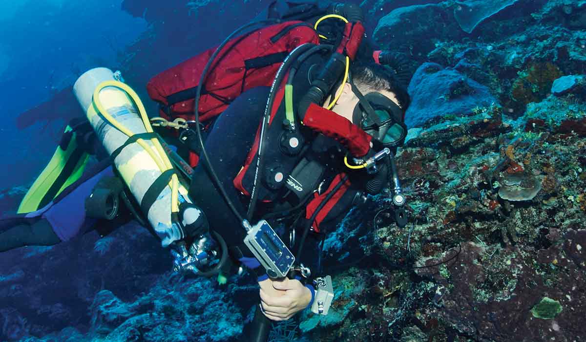 A diver on a closed-circuit rebreather floats near a reef