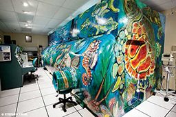 A painted hyperbaric chamber depicts undersea life
