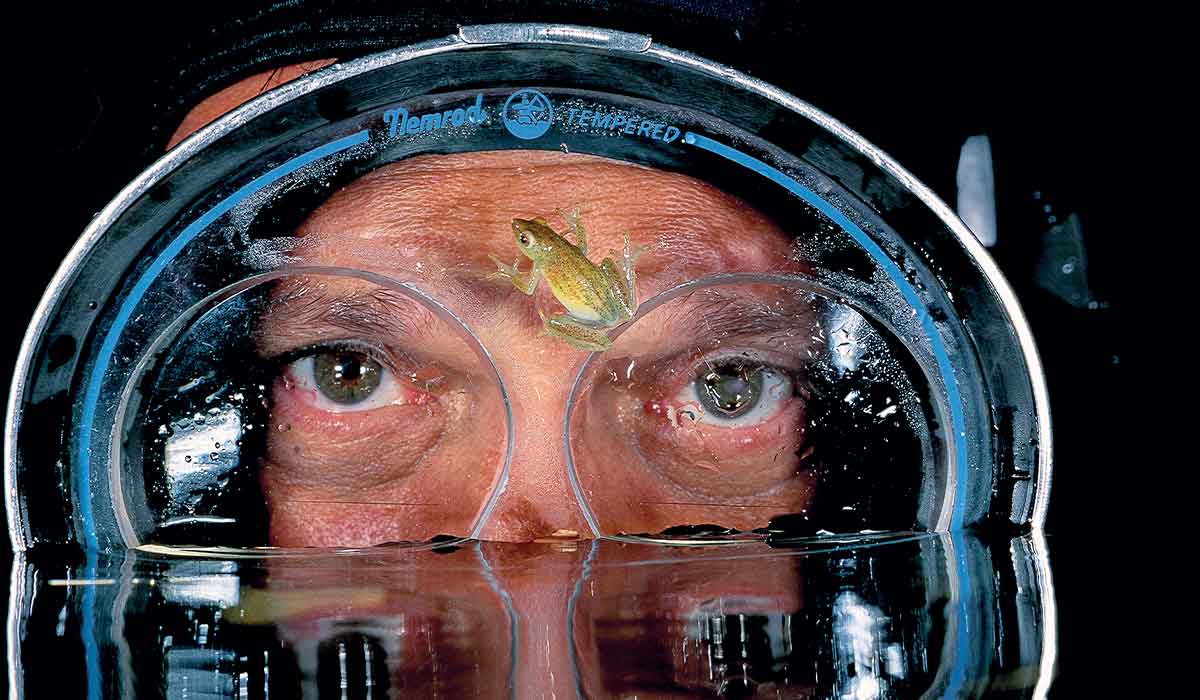 A tiny green frog stuck to the dive mask of a diver. Just his eyes are seen above the water