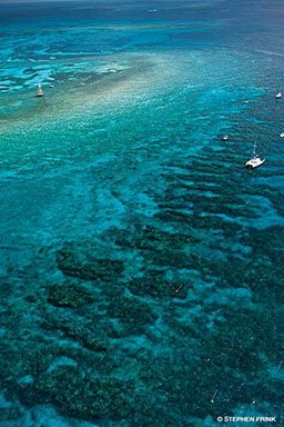 Aerial view of Molasses Reef
