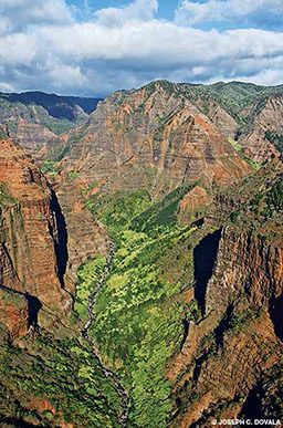 Aerial view of Waimea Canyon. The interior of the canyon is lush and green
