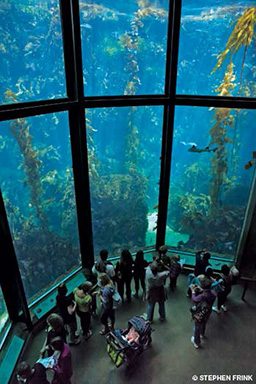 Aerial view of two-story aquarium walls
