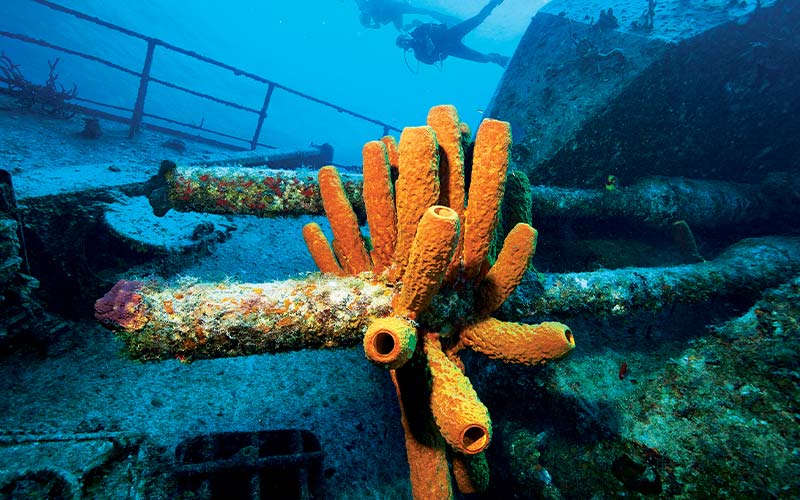 Coral-encrusted shipwreck and two divers are far in the background