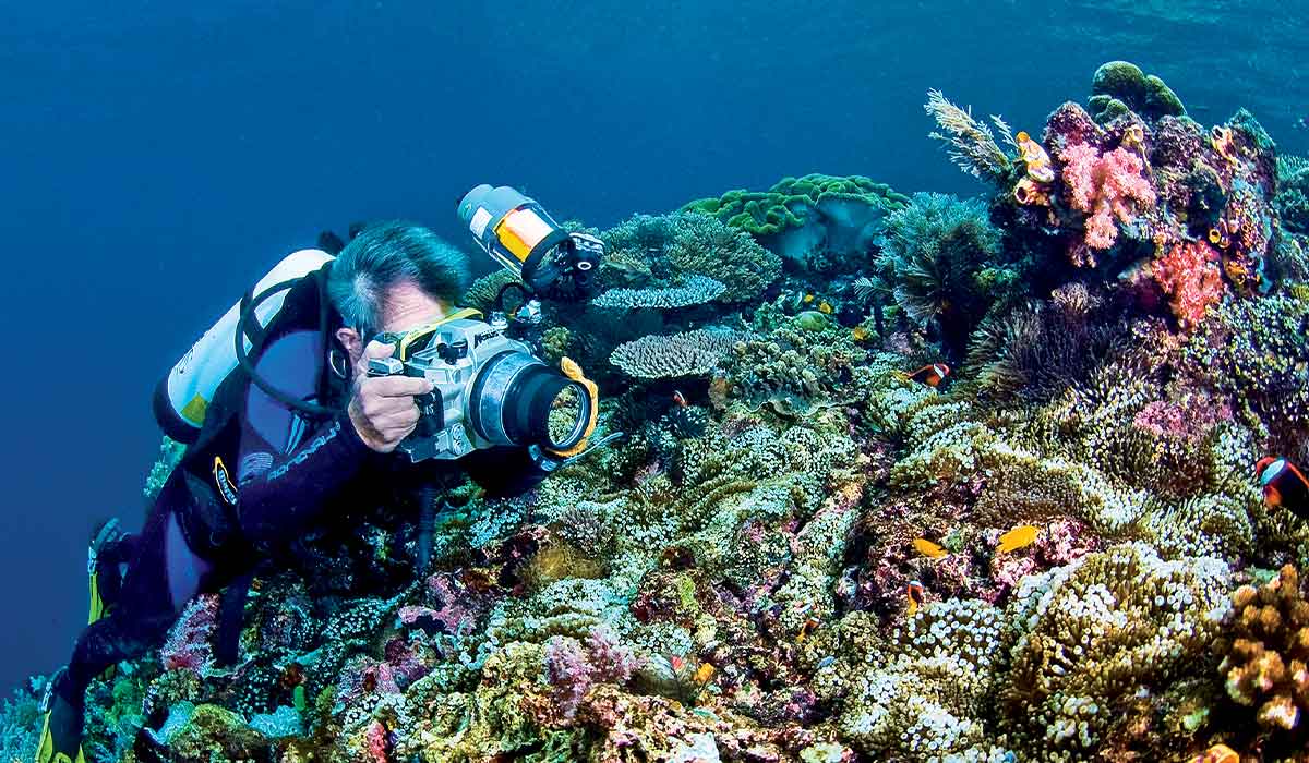Dive photographer photographs an orange clown fish on a coral reef