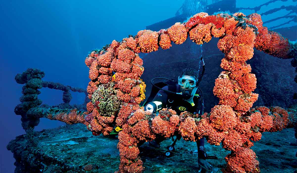 Diver peers through a metal structure on a sponge-encrusted shipwreck