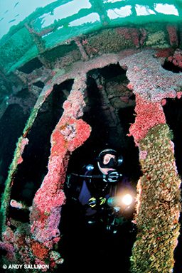 Drysuit diver emerges from a sponge-encrusted shipwreck