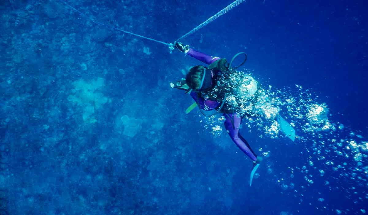 Female diver goes down a mooring line
