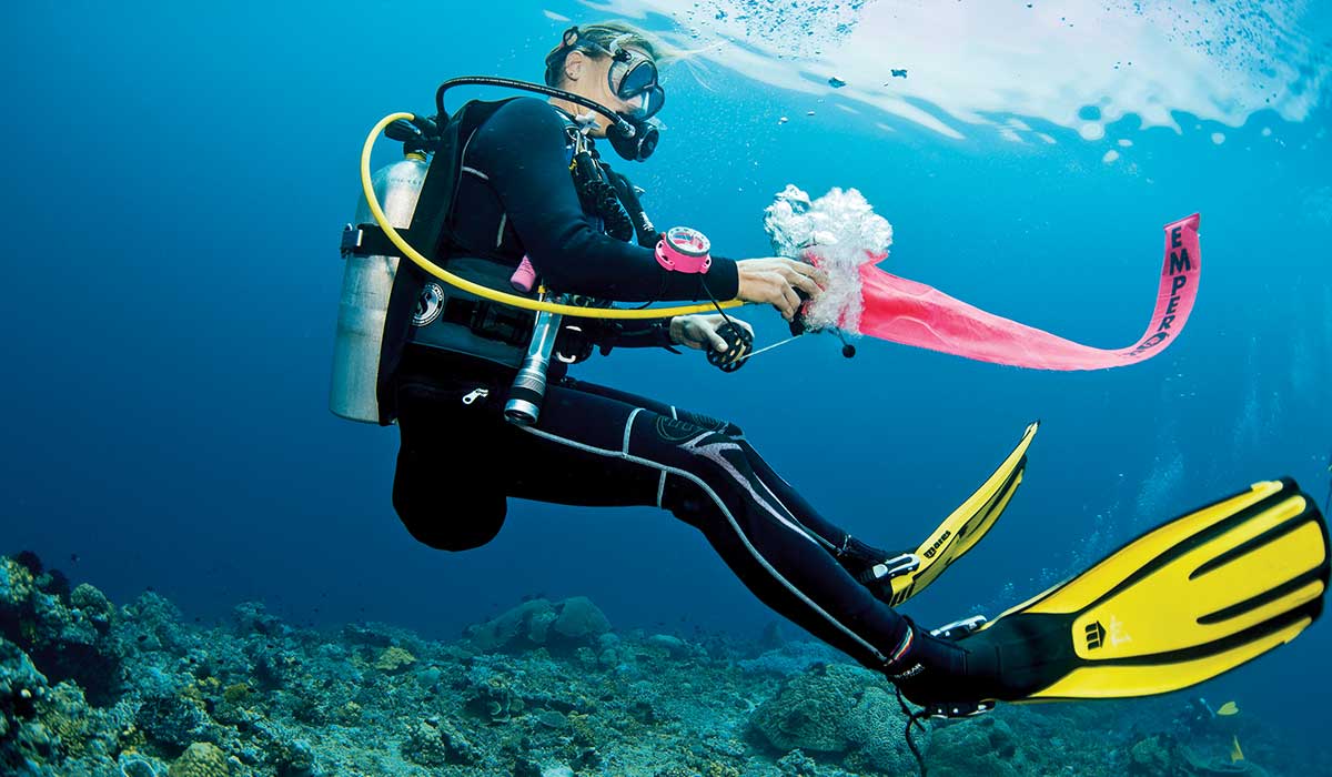 Dive Like A Pro: Deploying a DSMB