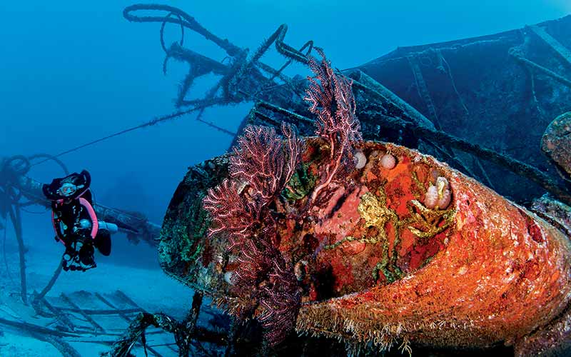 Female diver swims next to a shipwreck