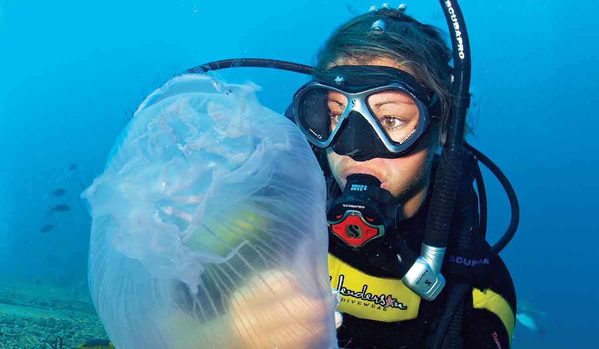 Female scuba diver looks at a jellyfish