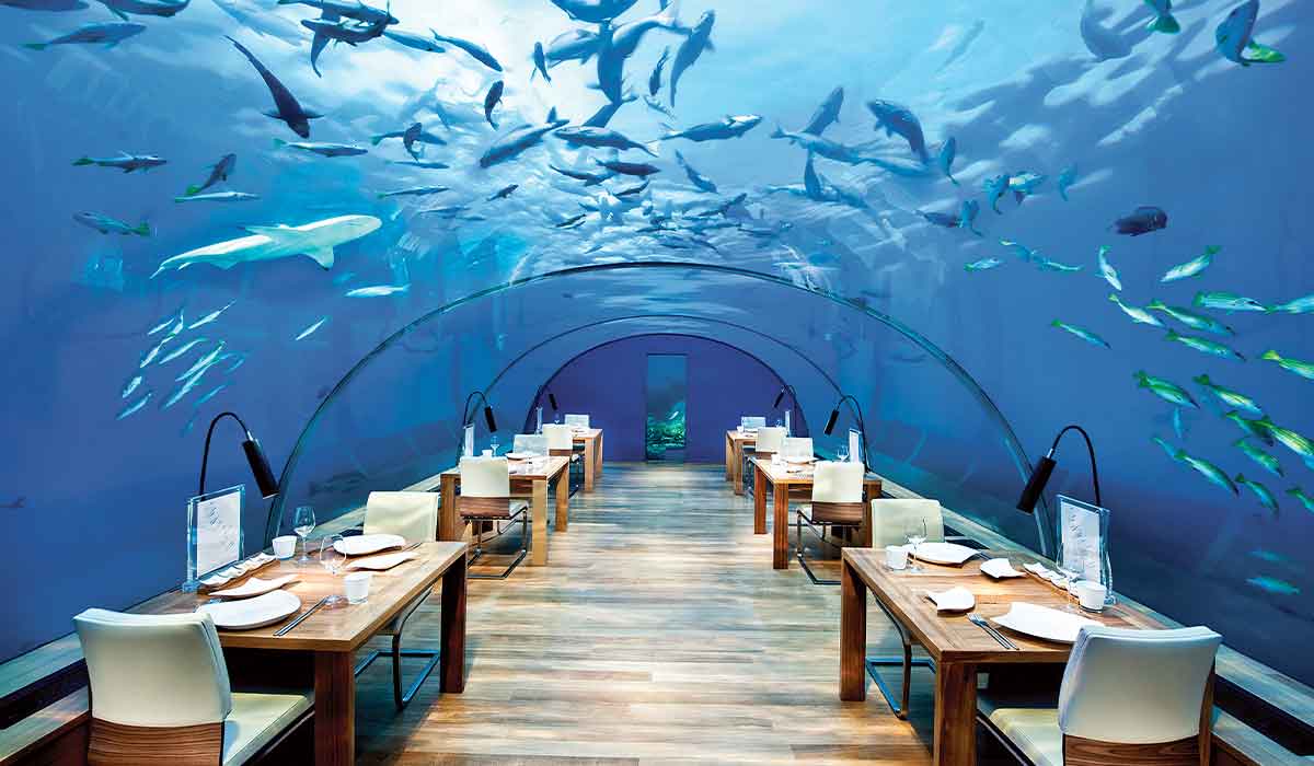 Fine-dining restaurant is surrounded by an aquarium tube filled with sharks