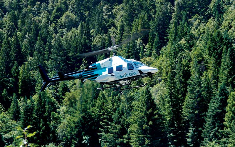 Helicopter flies amongst tree tops