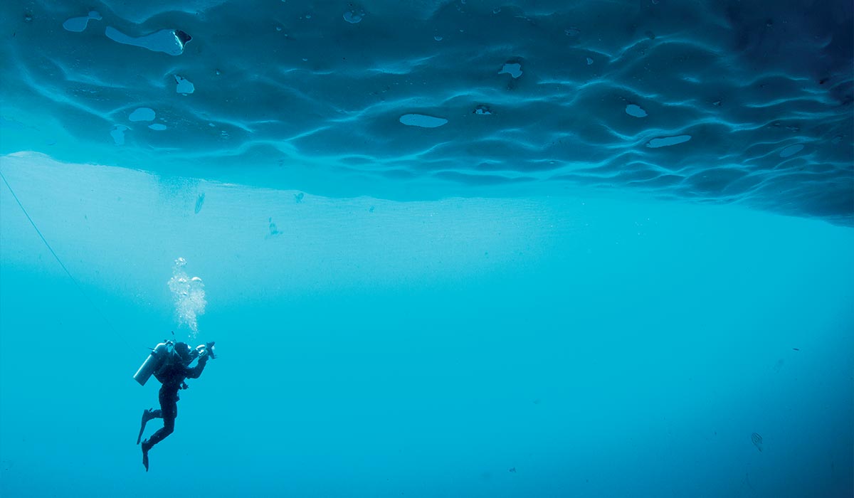 Lone diver underneath massive sheet of ice