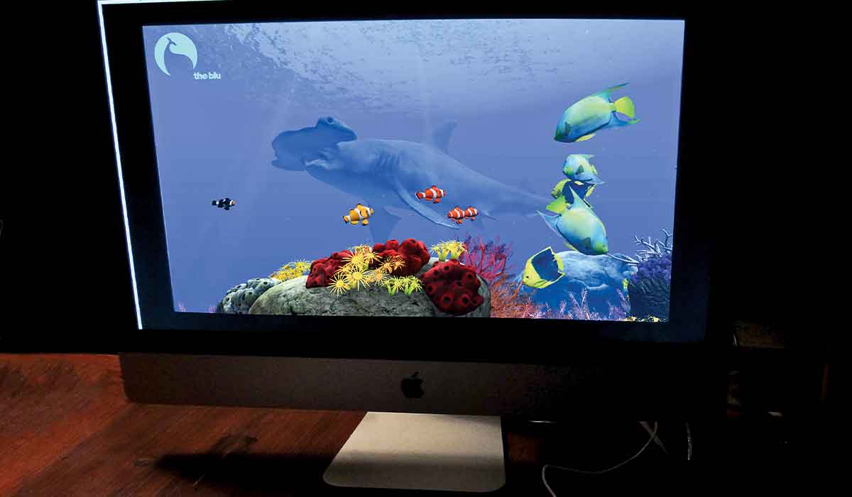 Mac desktop computer with a shark screensaver