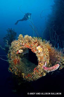 Marine-encrusted propeller pipe and a diver nearby