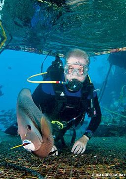 Old man scuba diver swims behind a large maroon fish