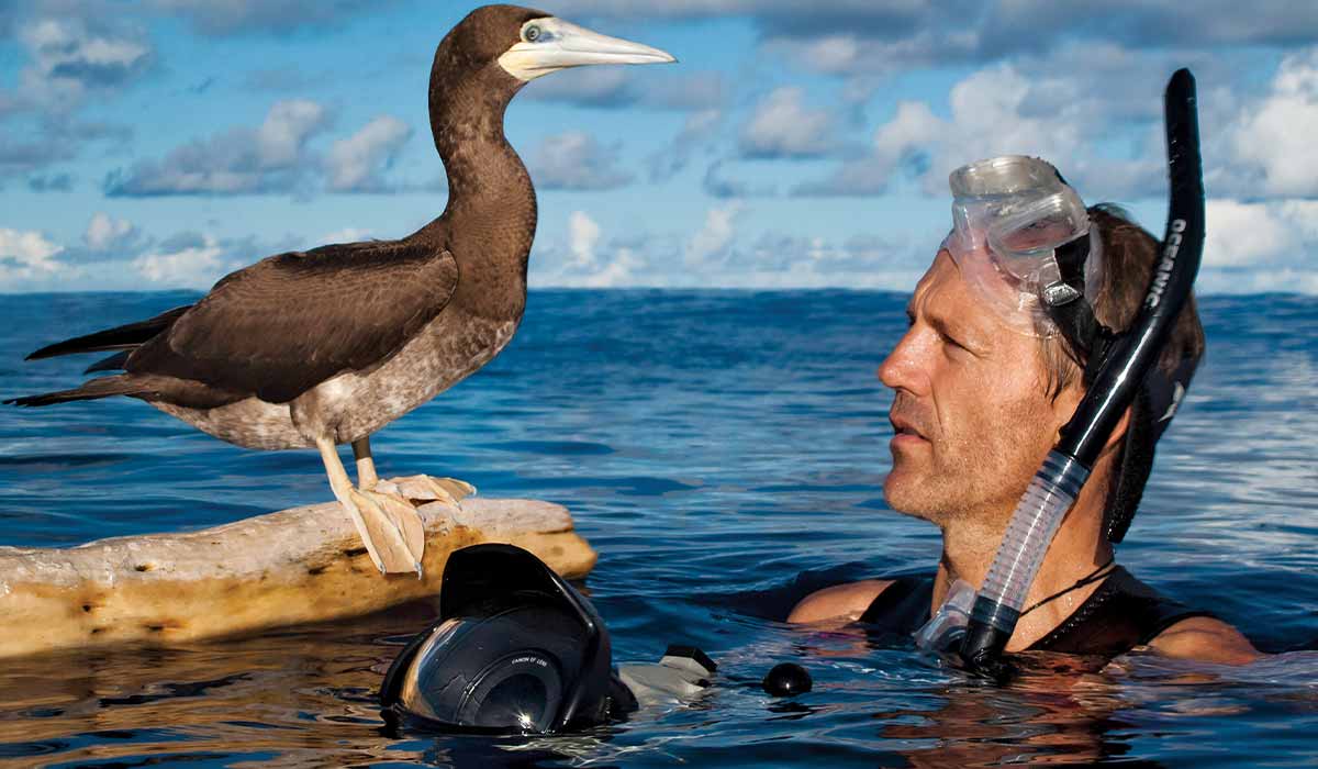 Paul Hilton wears a snorkel and looks at a bird