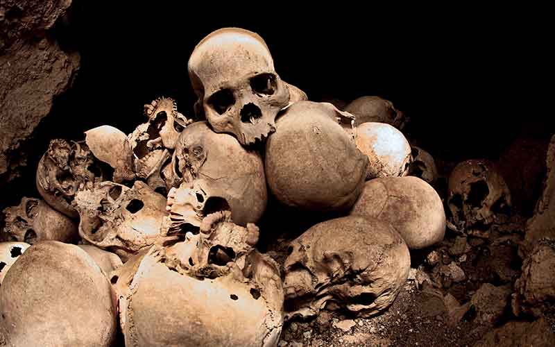 Pile of human skulls