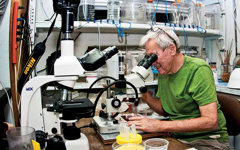 Researcher in green T-shirt look at a microscope
