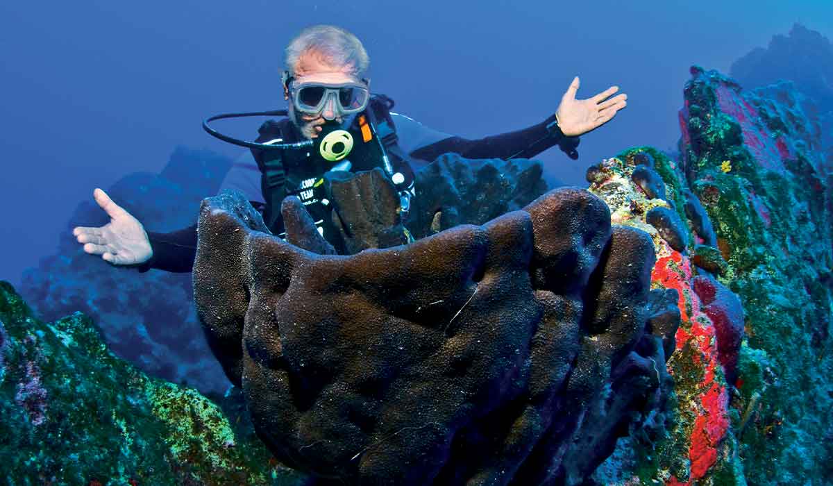 Scuba diver has arms wide open showing off a big sponge