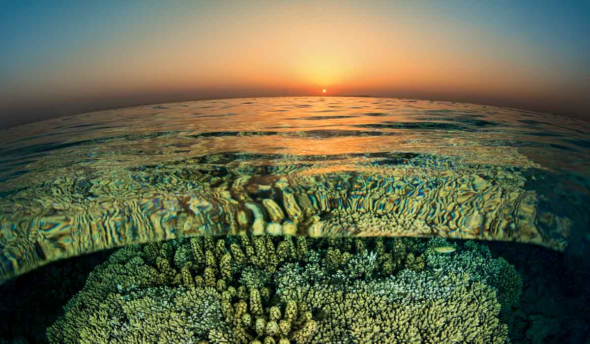 Split shot of sunset over coral reef