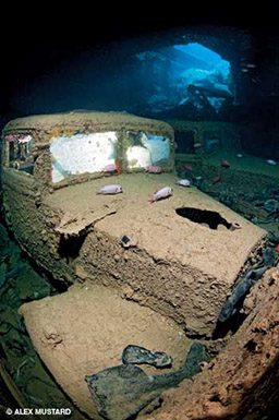 Sunken antique car became a nice reef staple for nearby fish