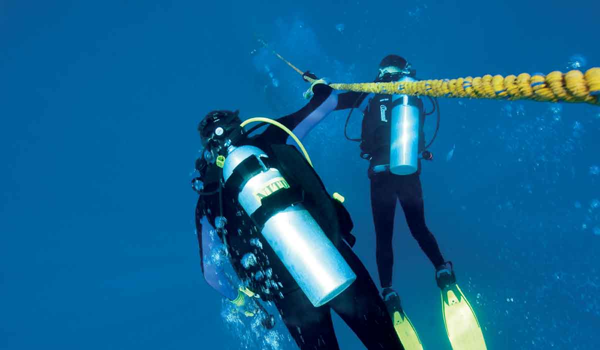 Two divers descend a yellow mooring line