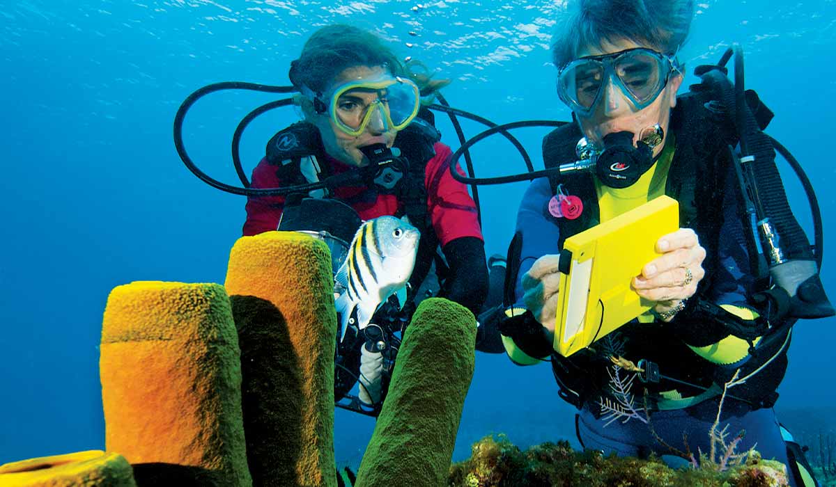 Two divers pause at coral review a checklist