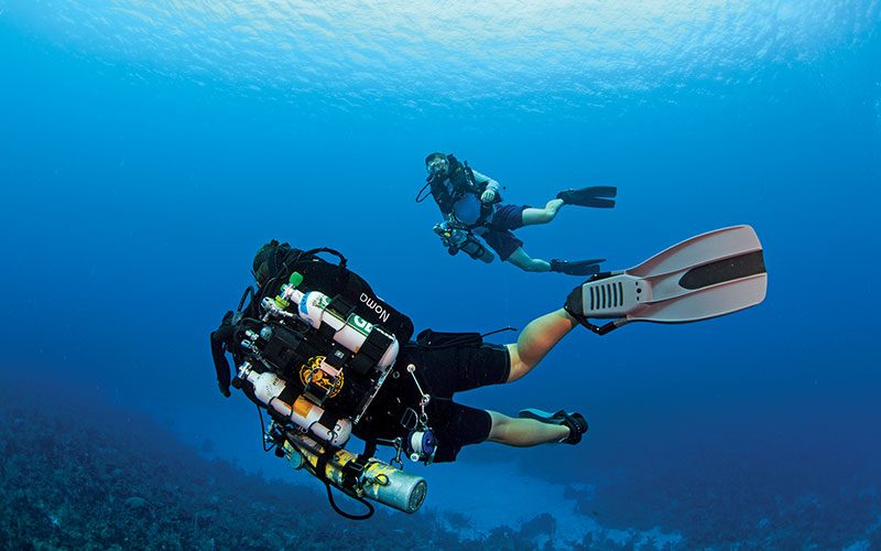 Two rebreather divers float over a coral bed