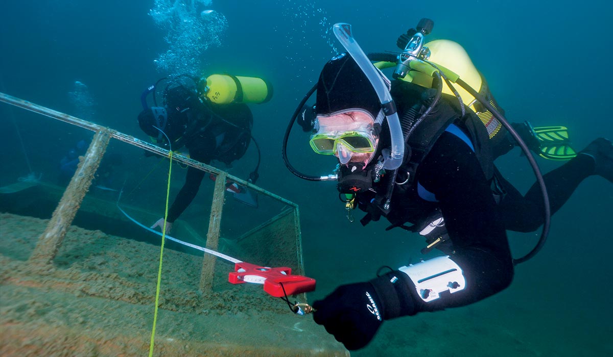 Two research divers float near shipwreck