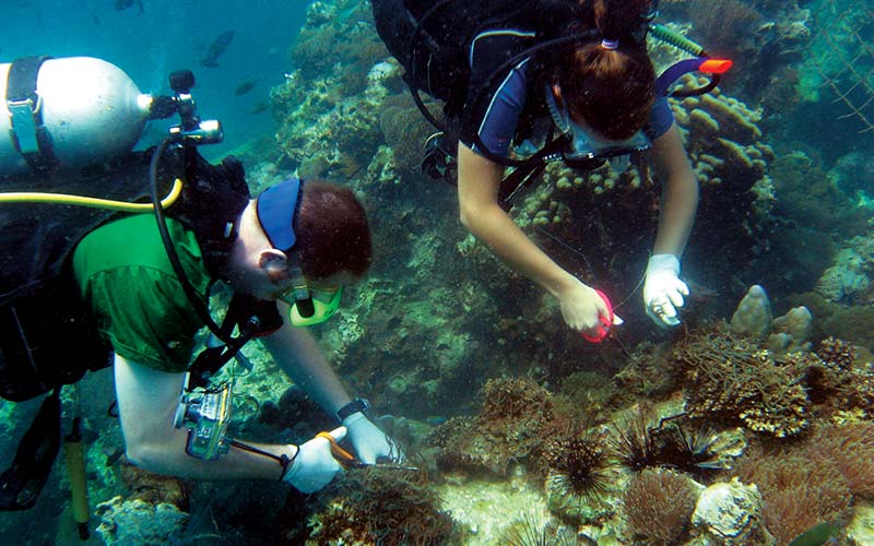 Two volunteer divers work together to clean up a reef
