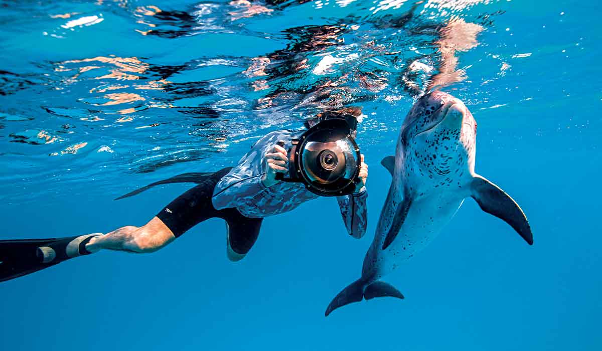 Underwater cinematographer chases a dolphin to get the right footage