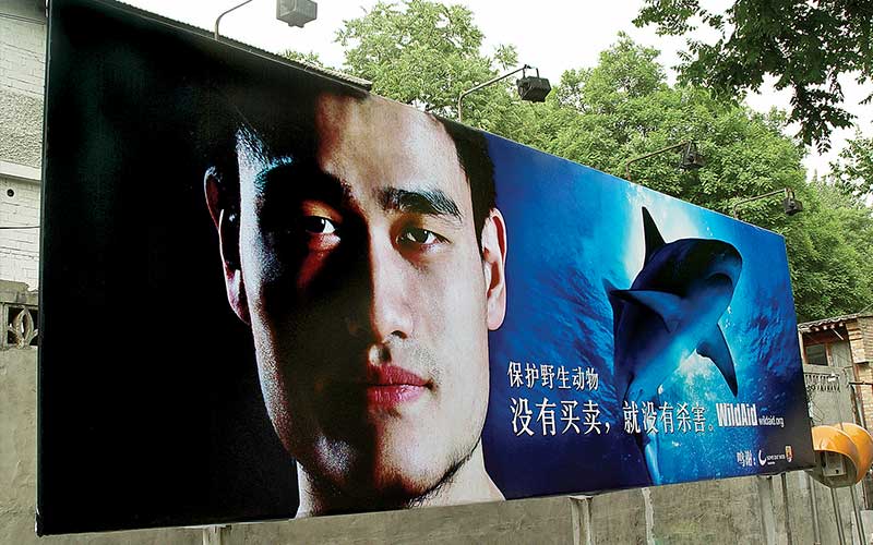 A man's head and a shark are displayed on a billboard