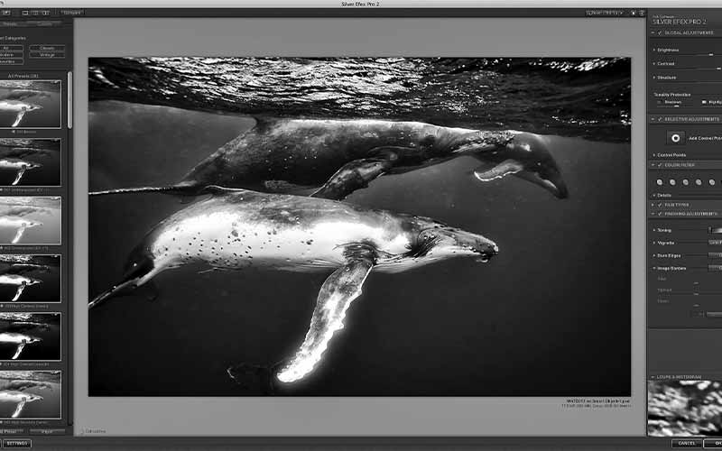 Back-end look of how to create black-and-white image in Lighroom 3.0