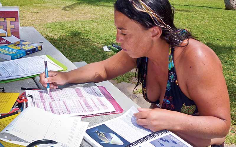 Bikini-clad volunteer completes surveys and paperwork at outdoor picnic table