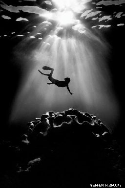 Black-and-white image of freediver above coral