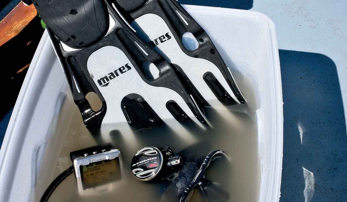 Dive fins and regulator rest in a bucket of cleaning solution