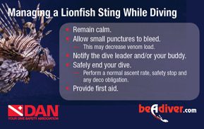 DAN Lionfish First Aid Card