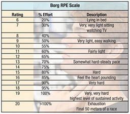 A table of the RPE Scale