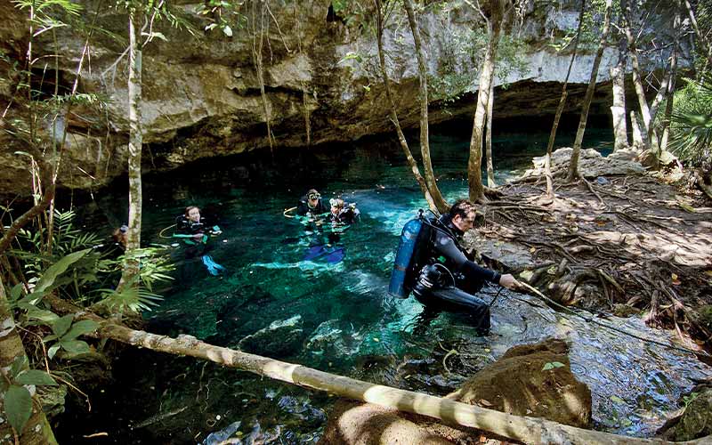 Two divers float in and one diver descends into a cenote