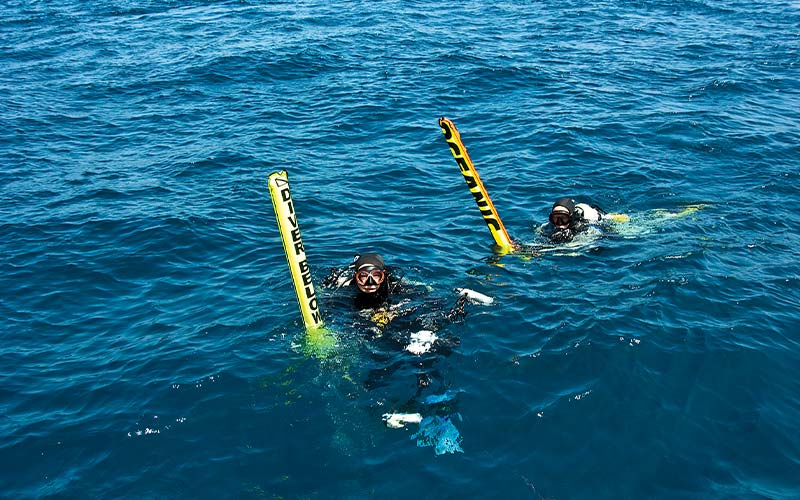 Two divers surface holding yellow inflatable dive markers