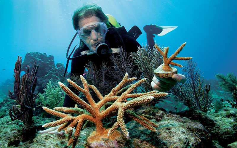 Diver poses next to corals while holding a small coral growth in their left hand