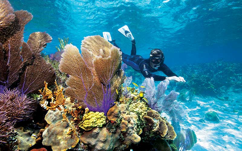 Male snorkeler swims next to a colorful reef