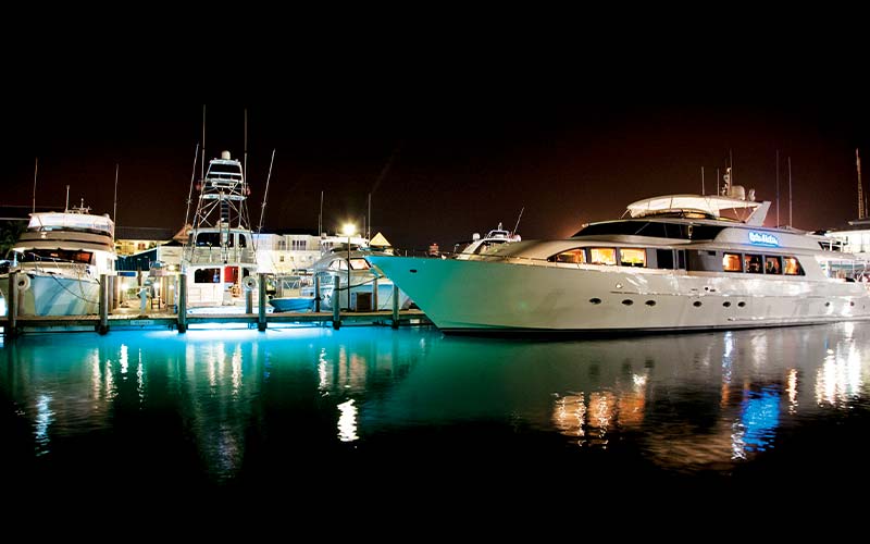 Several fancy boats rest at an illuminated dock at night time