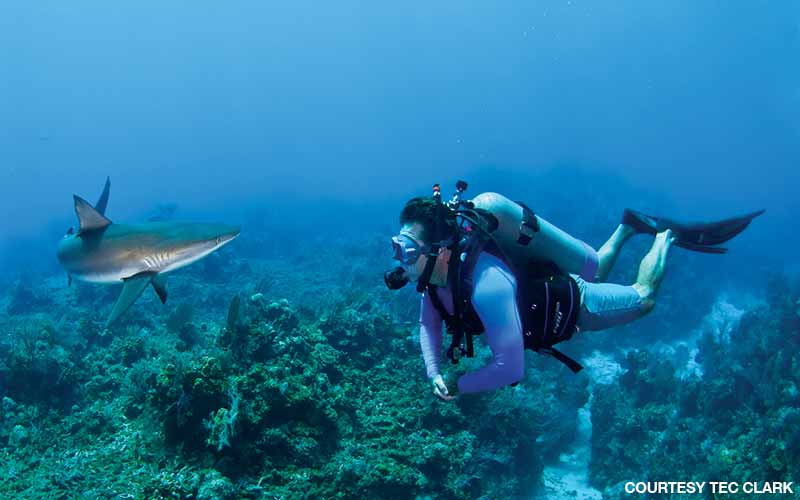 Clark has a face-to-face encounter with a shark in Exumas, Bahamas.