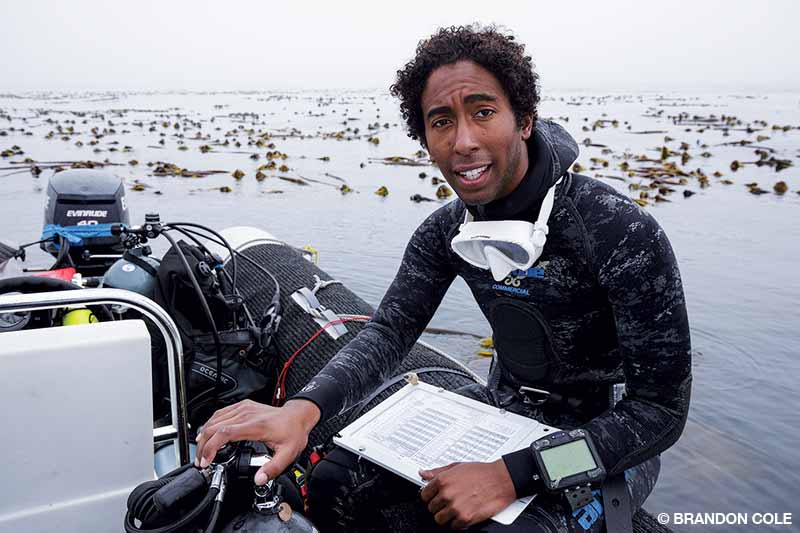 Maxwell Seale, de Reef Check California, estudia información entre un buceo y otro durante una inspección para recabar datos sobre el kelp y el hábitat arrecifal rocoso.