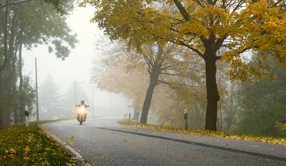 A lone motorcycle rider drives through a tree-lined road on a foggy fall morning