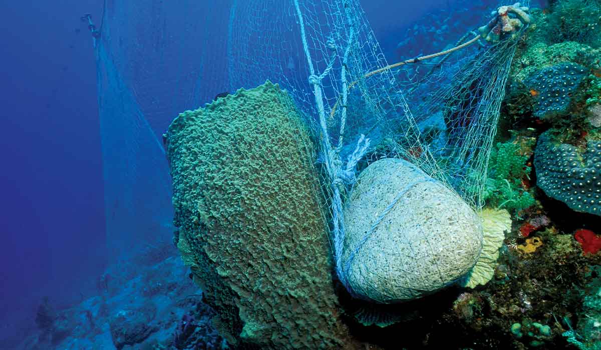 Nets are strewn about on a coral reef