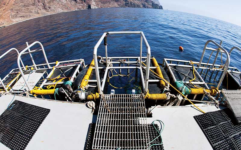Unmanned shark cage waits for the next diver