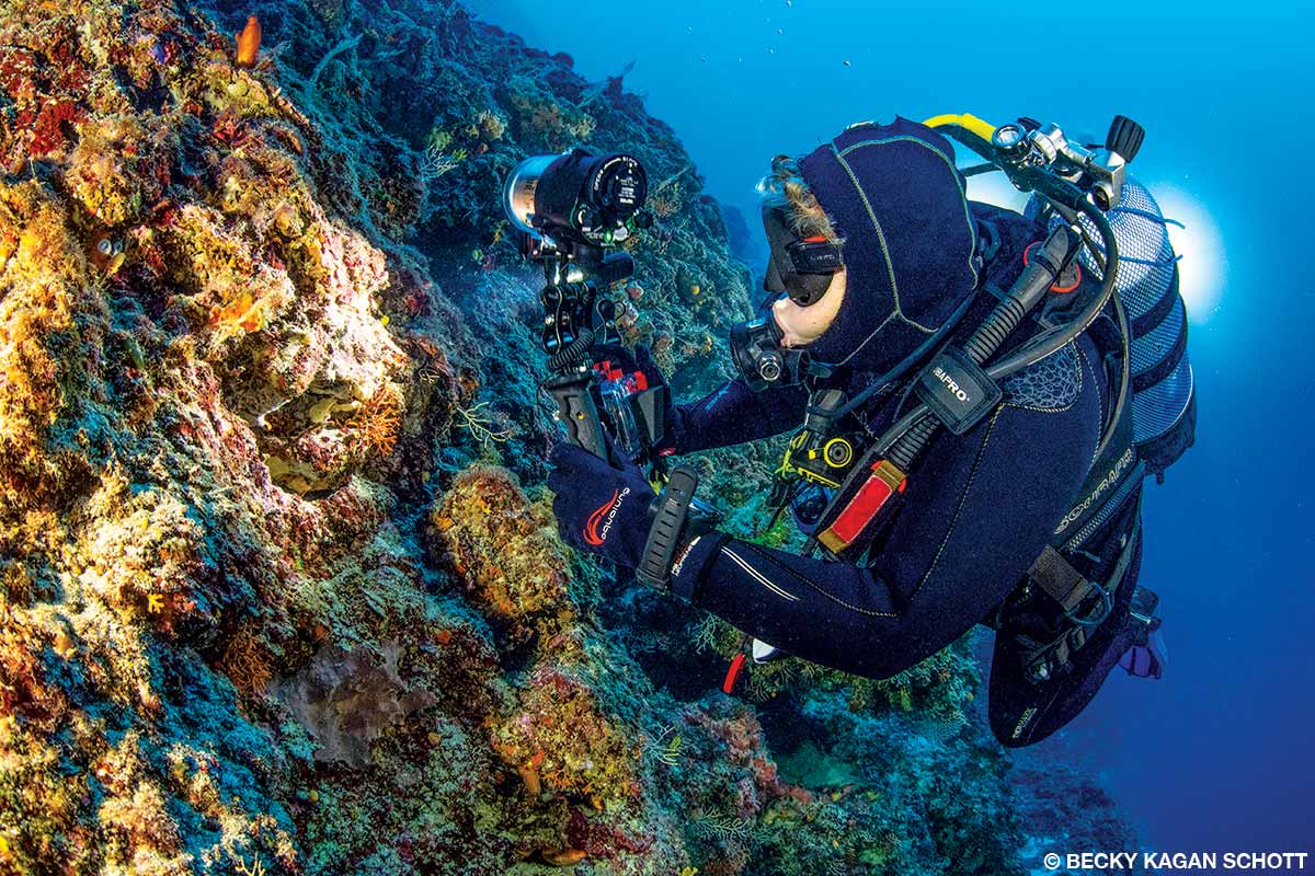 A diver wears tropical-weight gloves.